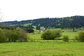 Tranquilité et détente