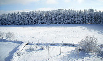 Ski de fond à la ferme Morin